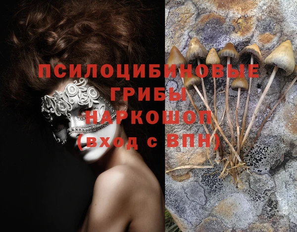 прущий лед Верея